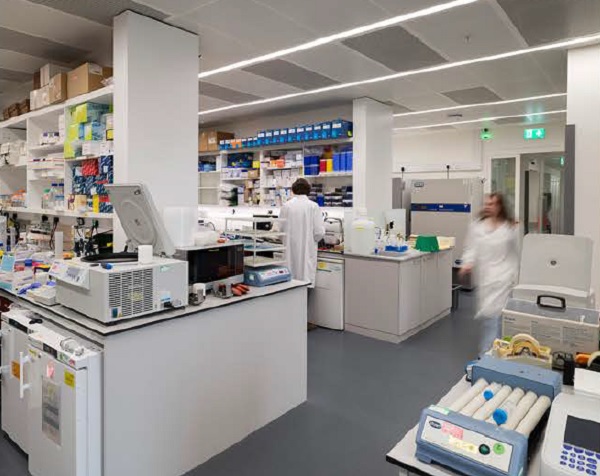 High-performance laboratory facilities sit alongside non-lab environments to create collaborative research neighbourhoods