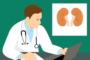 £2.5m for kidney disease research