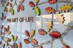A ‘living’ tribute to organ donation