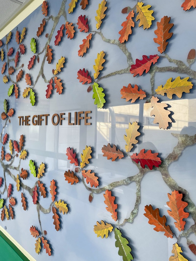 A ‘living’ tribute to organ donation