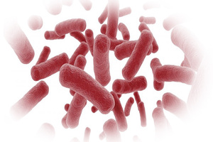 Armitage Shanks digs deeper in fight against hospital infections 