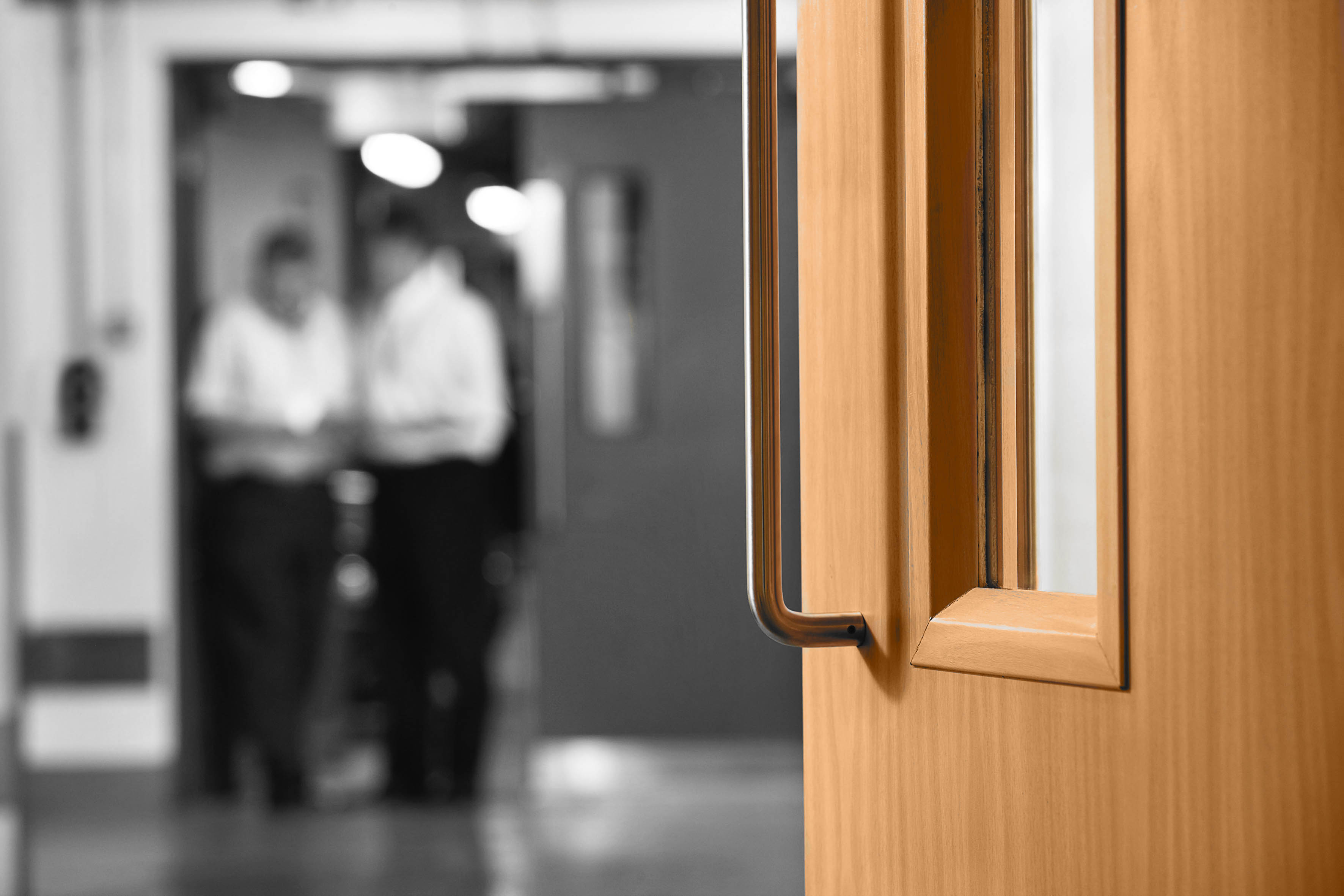 ASSA ABLOY Security Doors unveils high-performance timber door range