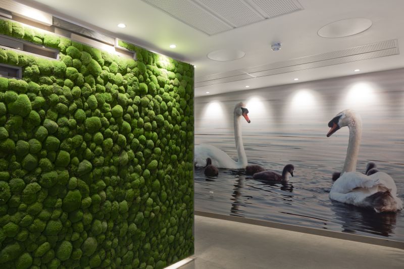 Images such as swans gliding on water, deer grazing in a local park, and sunlight glinting through trees are used on large-scale wallpapers within the entrance and circulation spaces