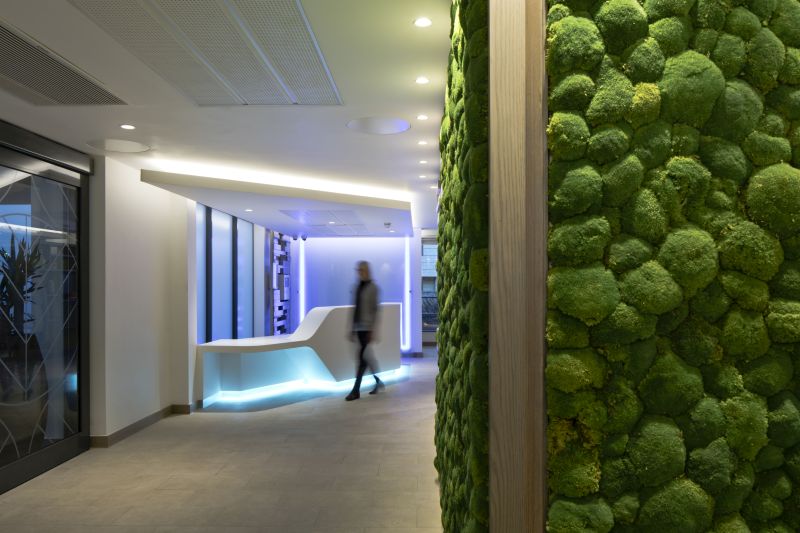 INterior design elements such as a moss feature wall help to enhance the environment for patients and staff