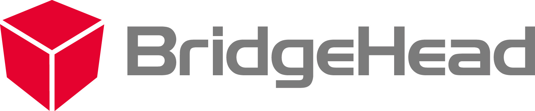 BridgeHead Software Limited