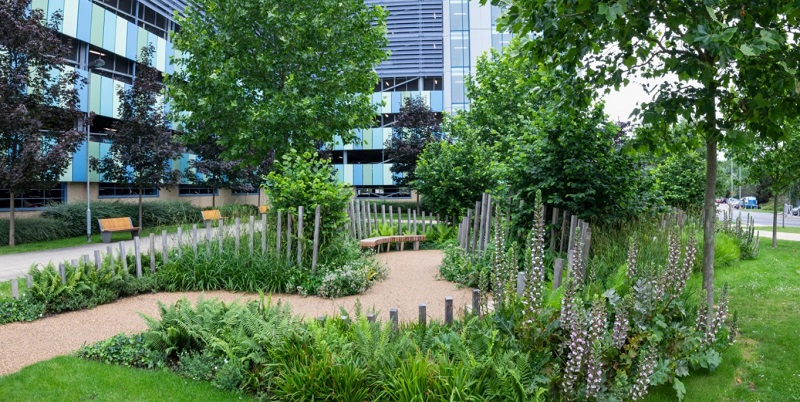 The NHS 70 Garden at Addenbrooke’s Hospital, designed by Bowles and Wyer, won the 2020 Award for Best External Environment