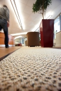 Carpet makes a comeback