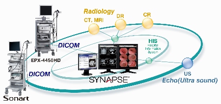 SYNAPSE NX