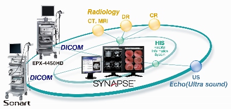  SYNAPSE NX