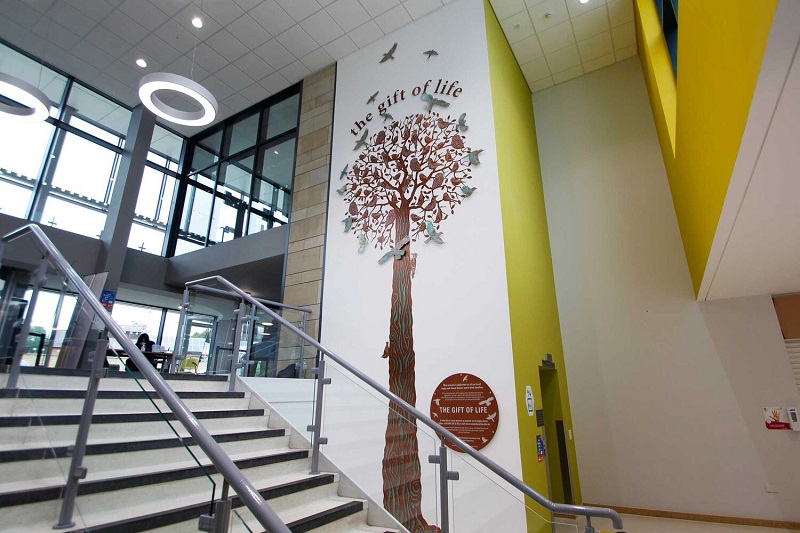<i> Tree of Yorkshire Birds </i> again recognises the local wildlife and fills a wall three floors high in the main entrance area