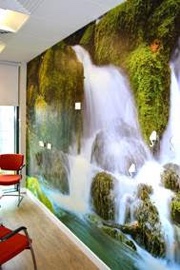 The natural park land surroundings were the ideal inspiration