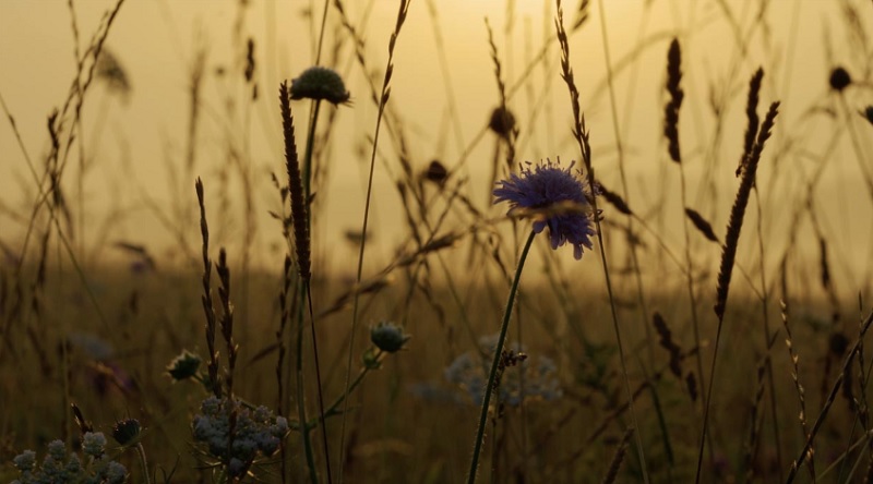 Owen Diplock's <i>Sunrises</i> is also on show as part of the <i> Journeys: The Healing Arts</i> exhibition