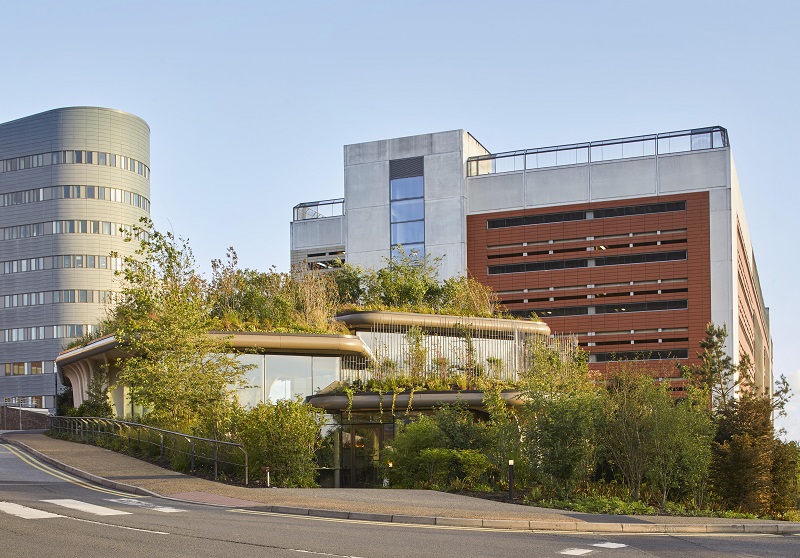The site on the St James's University Hospital campus in Leeds was one of the few remaining green spaces, so the design aimed to retain and increase on the planting