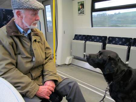 Trained Dementia Dogs will help sufferers to maintain their independence, dignity, companionship and overall quality of life