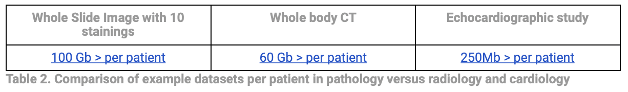 What is pathology's path to digital imaging infrastructure?