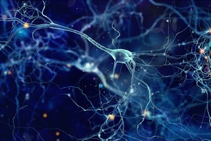 Barts Life Sciences spearheads cutting-edge AI research