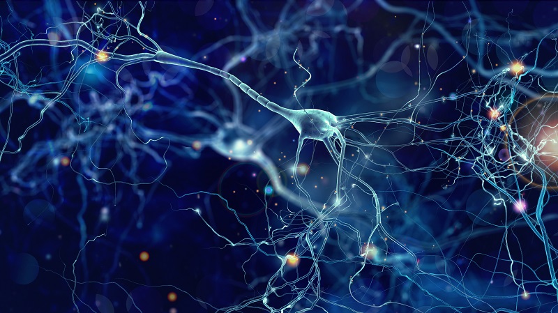 Barts Life Sciences spearheads cutting-edge AI research