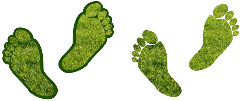 BMA lays out plan to ensure GP services are carbon neutral by 2030