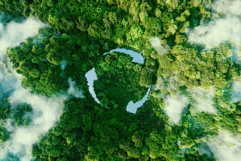 Building better supply chains through sustainability