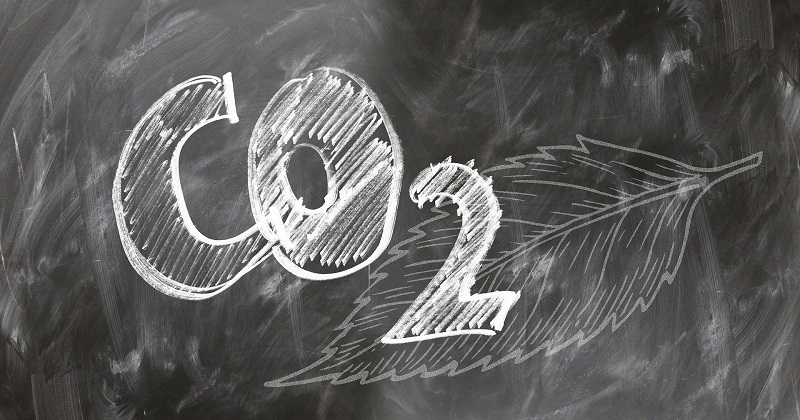 Carbon cuts save trust £10m