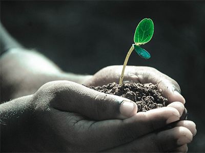 Compliance and sustainability

