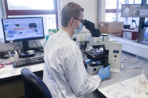Dorset pathologists ‘go above and beyond’ for big-bang deployment