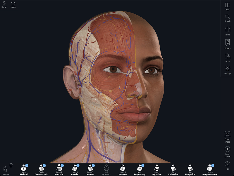 A study found that less than 5% of images in general medical texts included darker skin tones