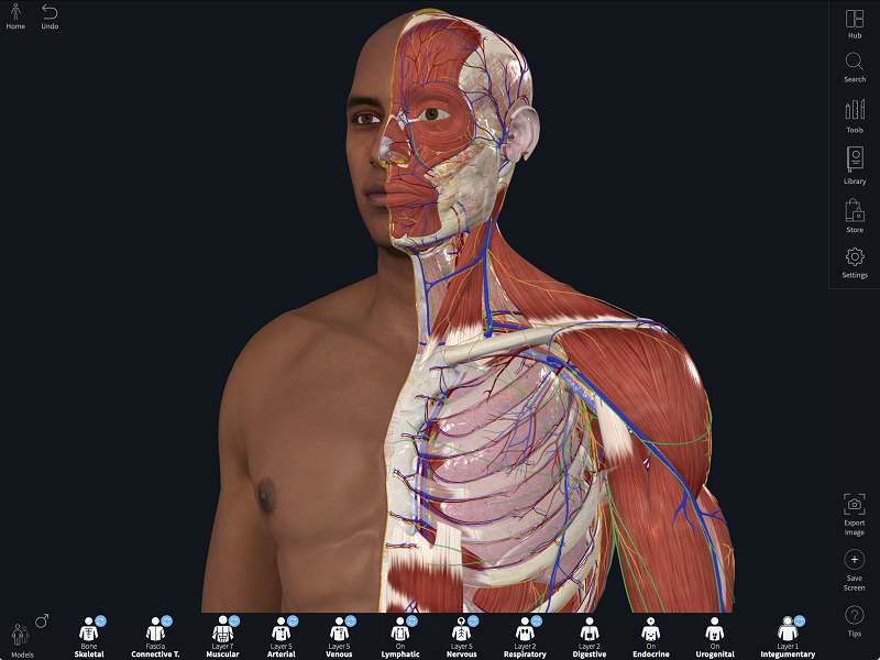 Elsevier introduces 3D human anatomy model to tackle racial bias in healthcare training