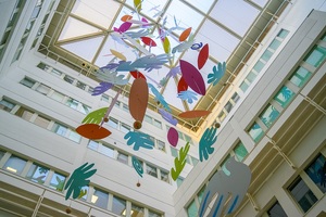 Healing art and the curative environment