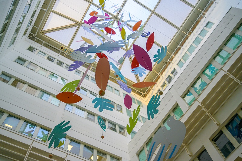 Healing art and the curative environment