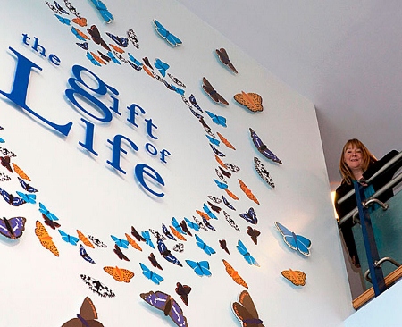Hospital artwork portrays importance of organ donation