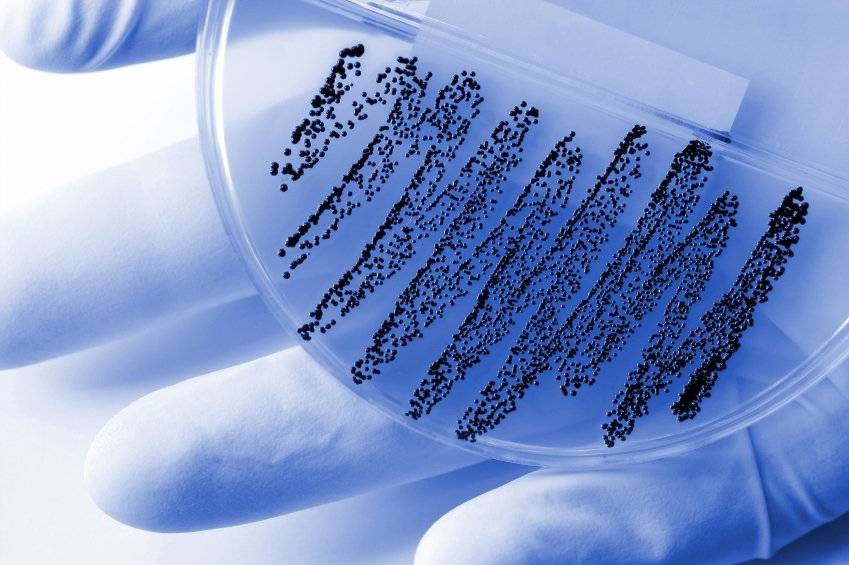 Hospital reduces MRSA rates by 42%