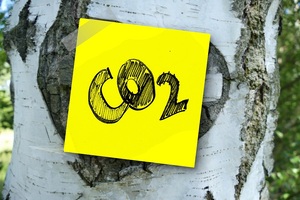 ICS sets out net-zero carbon plans