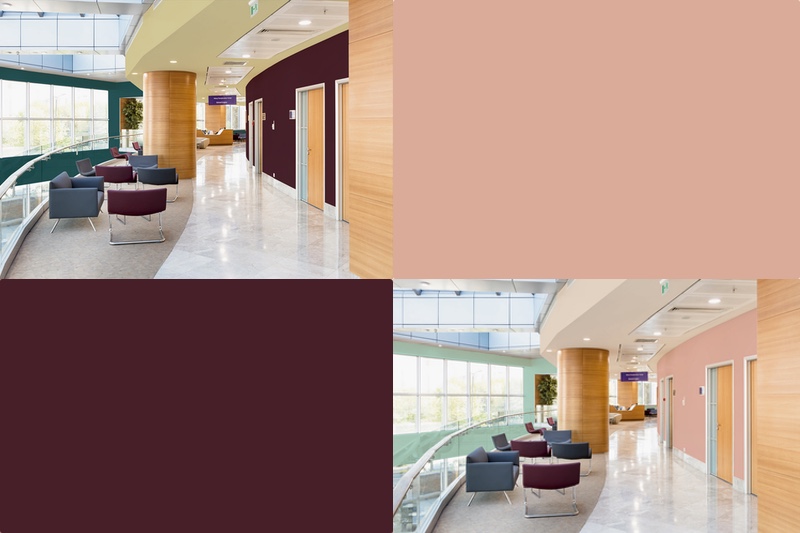 Invisible doors and reducing spores: How to use colour and paint in healthcare