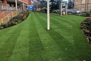 Landscaping project completed at St George's Hospital in just three weeks