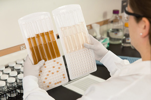 Legiolert: fast, accurate detection of Legionella pneumophila