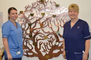 Memorial tree helps bereaved families