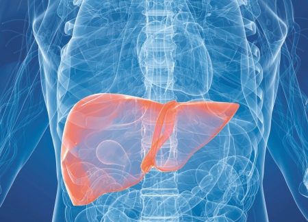 National Institute for Health and Care Excellence backs blood test for liver disease