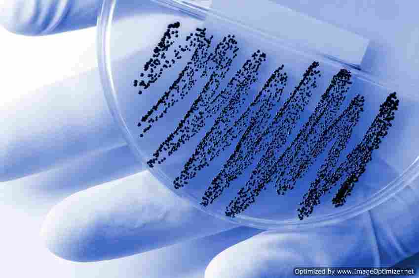 Research from University of Leicester sniffs out smell of disease in faeces