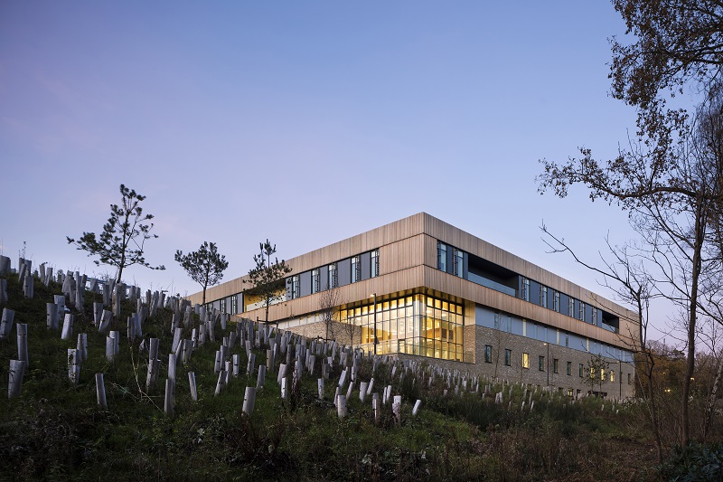 Heatherwood Hospital has been built on the site of the original hospital kitchen garden, providing views into the tree canopy from many internal areas