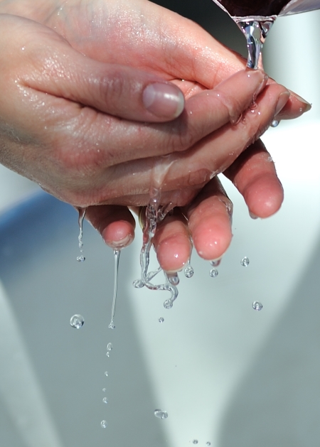 The war on superbugs