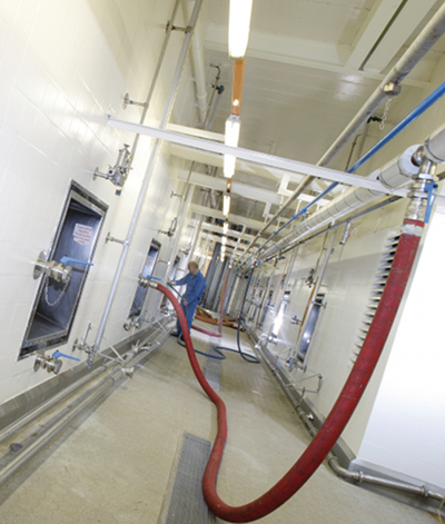 Torsan paints protect against bacteria and mould