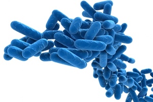 Water study shows effectiveness of IDEXX Legiolert test