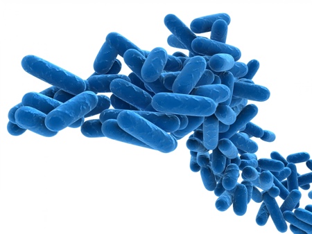 Water study shows effectiveness of IDEXX Legiolert test