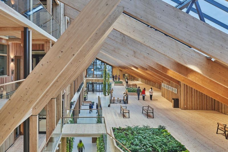 Why does wood belong in modern healthcare environments?