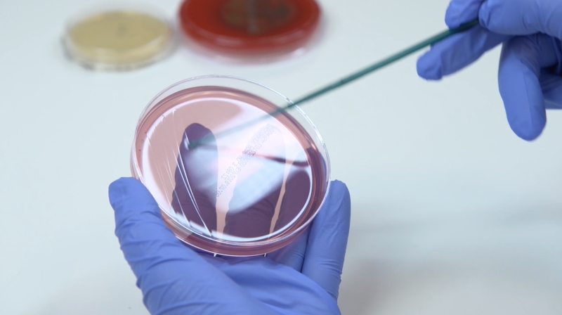 World’s first non-leaching antimicrobial examination gloves launched